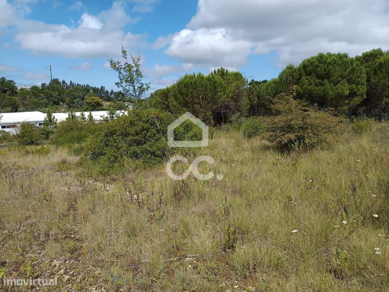 Terreno em Cernache com 7.609m2 - Grande imagem: 4/9