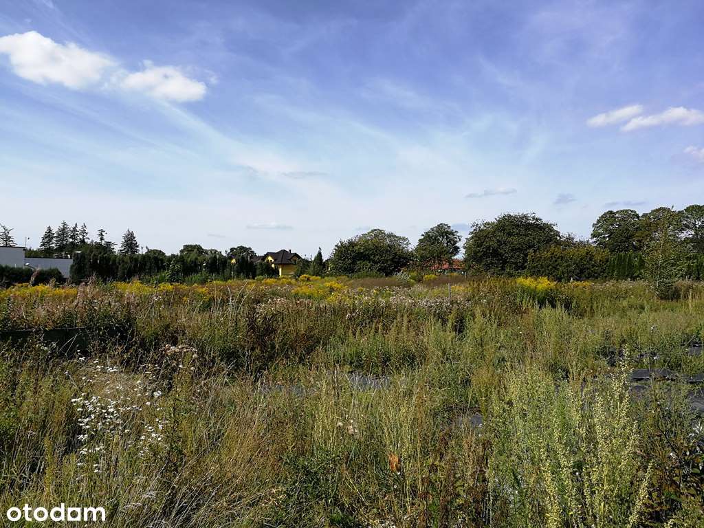 teren inwestycyjny - Pełny obrazek: 4/5