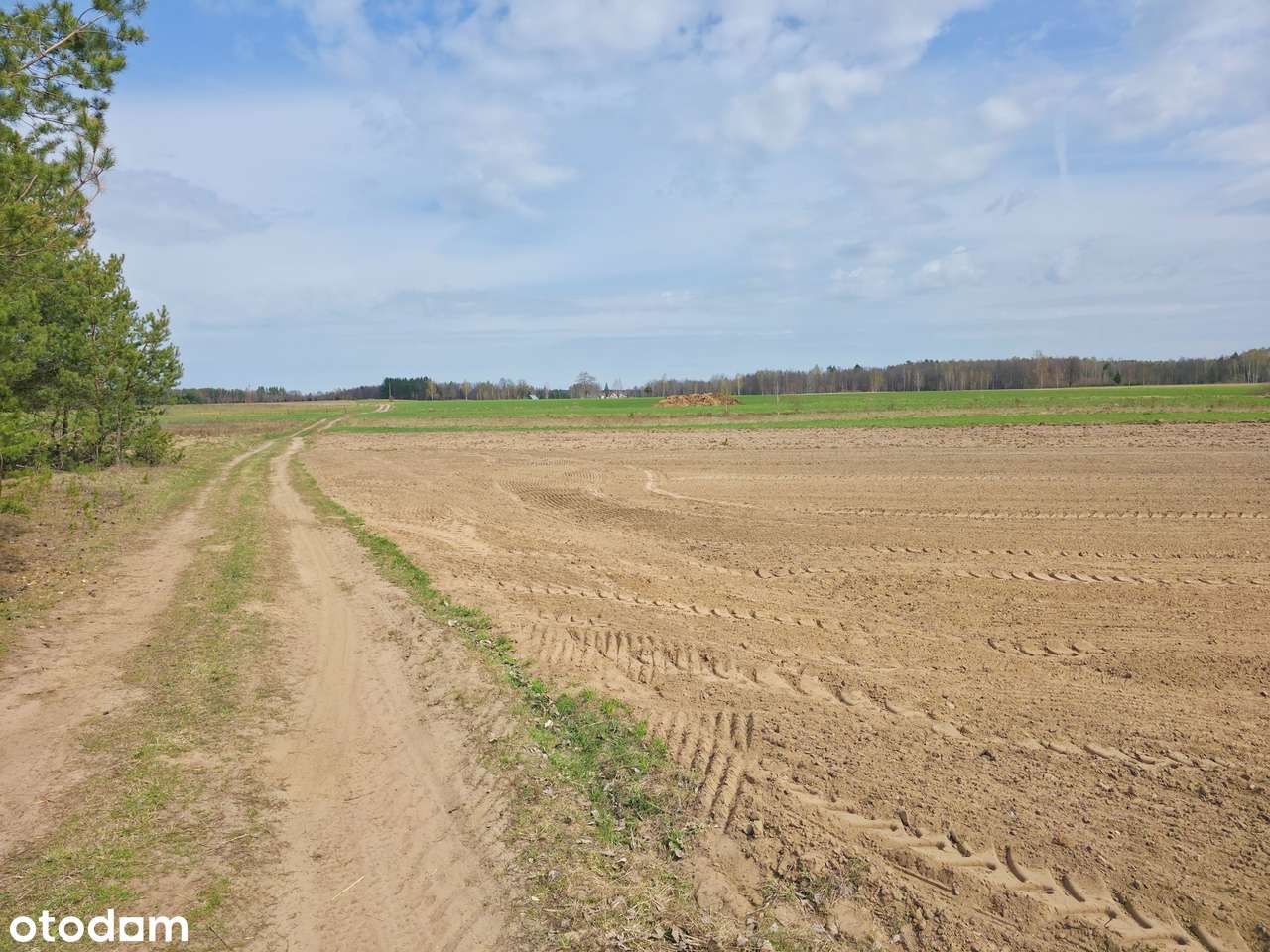 Maćkowa Ruda gm. Krasnopol - działka rolna 2,7776 ha-5