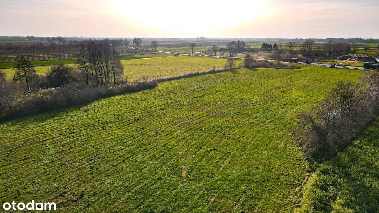 Działka dla inwestora w Borzykowie koło Wrześni-1