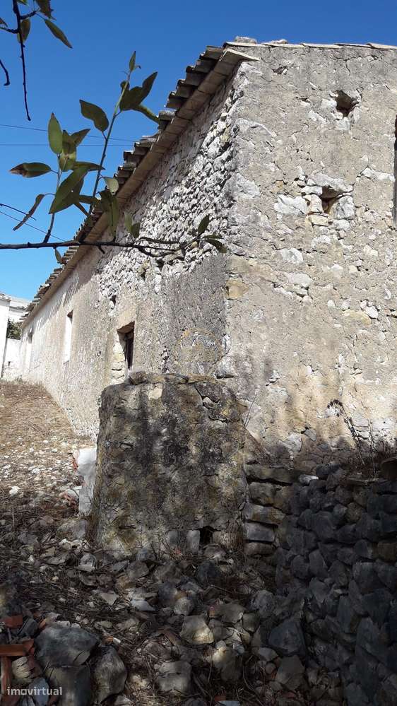 Terreno com ruina e ampla vista aberta da Picota até ao mar-10