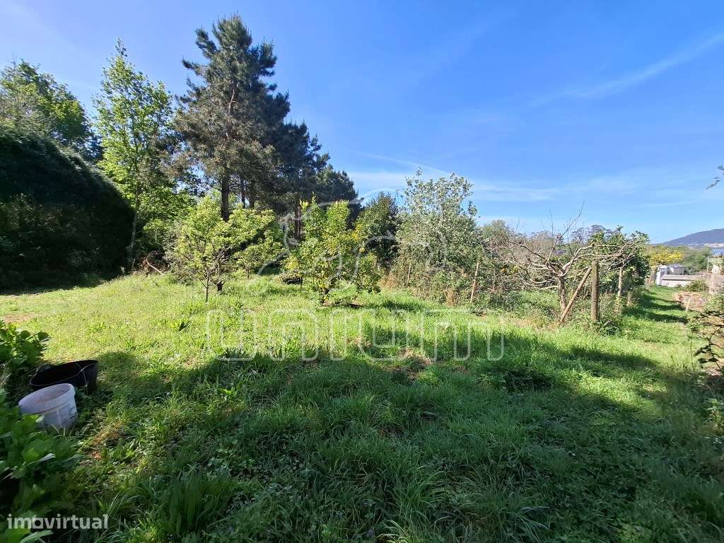 Fabuloso terreno para venda em Seixas-5