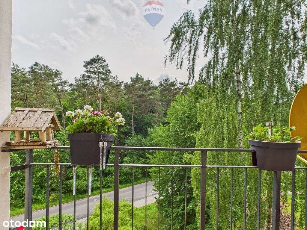 Mieszkanie w Gdyni w dzielnicy Pustki Cisowskie. - Pełny obrazek: 4/17