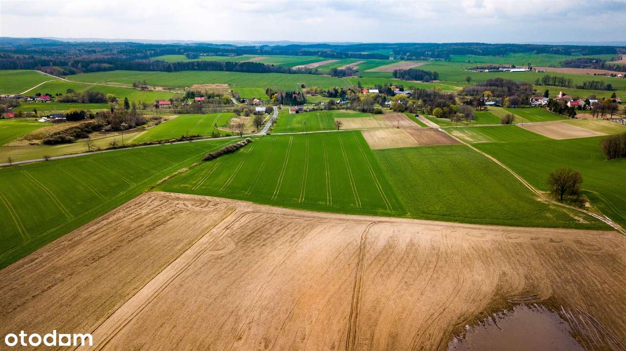 3 HA zabudowa mieszkaniowa | Jaszów | NOWA CENA - Pełny obrazek: 5/10