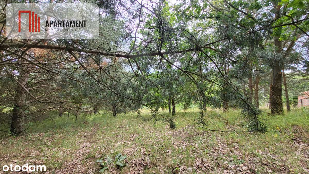 2118mkw z WZ - Wyrzysk Skarbowy - Pełny obrazek: 4/10