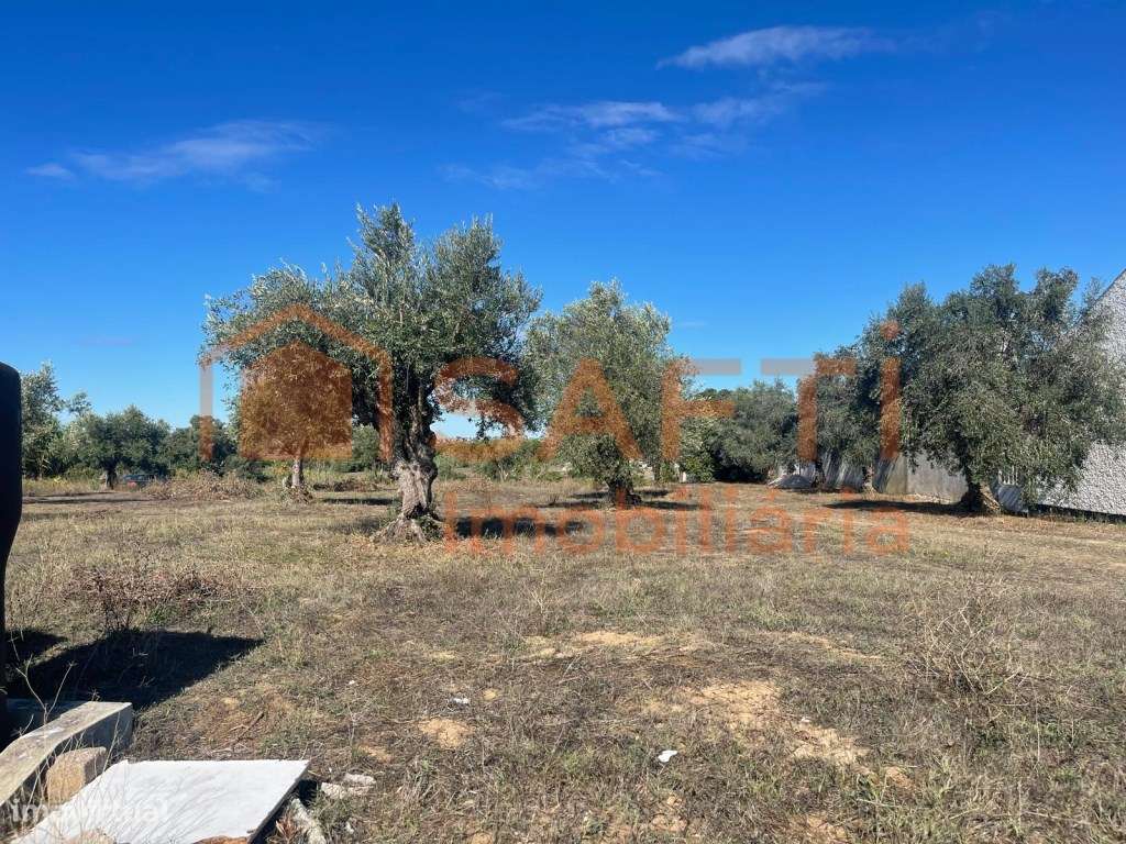 Terreno urbano em Maxieira, S. Pedro de Tomar, Tomar - Grande imagem: 4/30