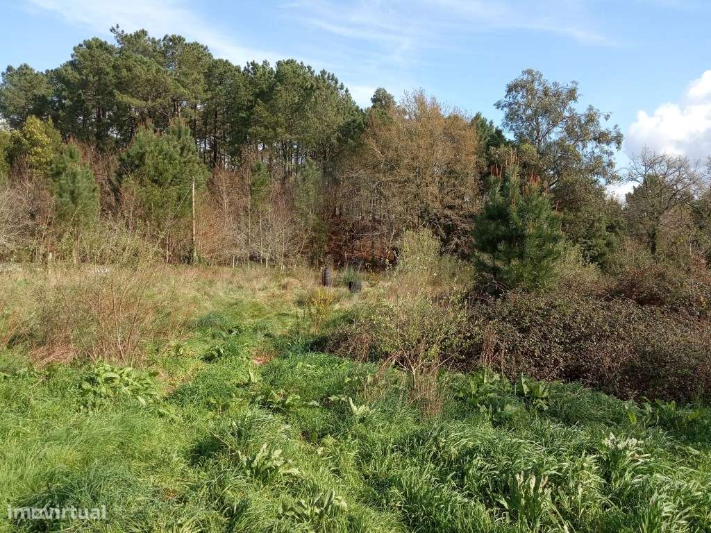 Terreno para exploração agrícola em Lanheses - Grande imagem: 5/8