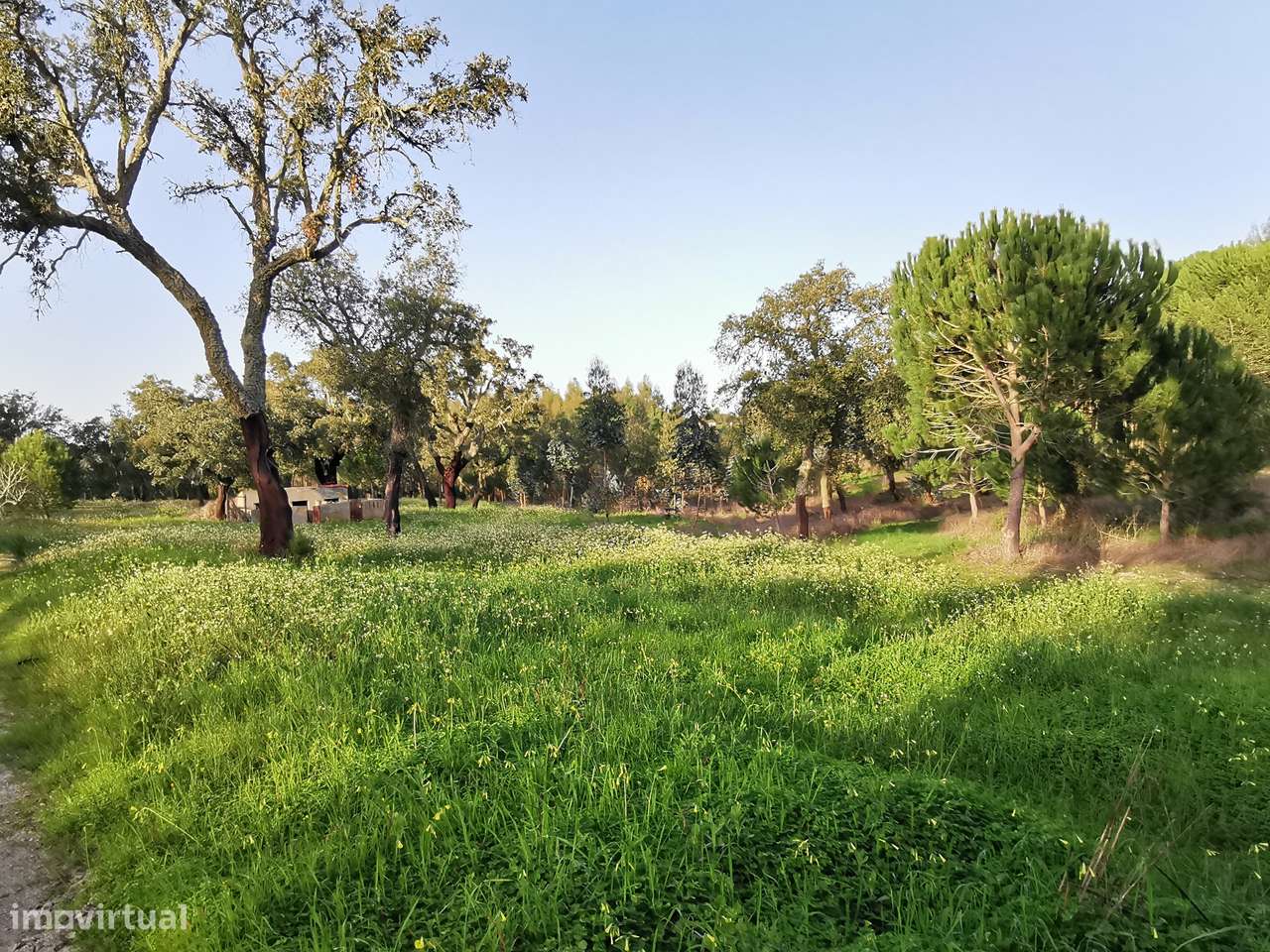 Moradia T2  Lamarosa de Coruche-36