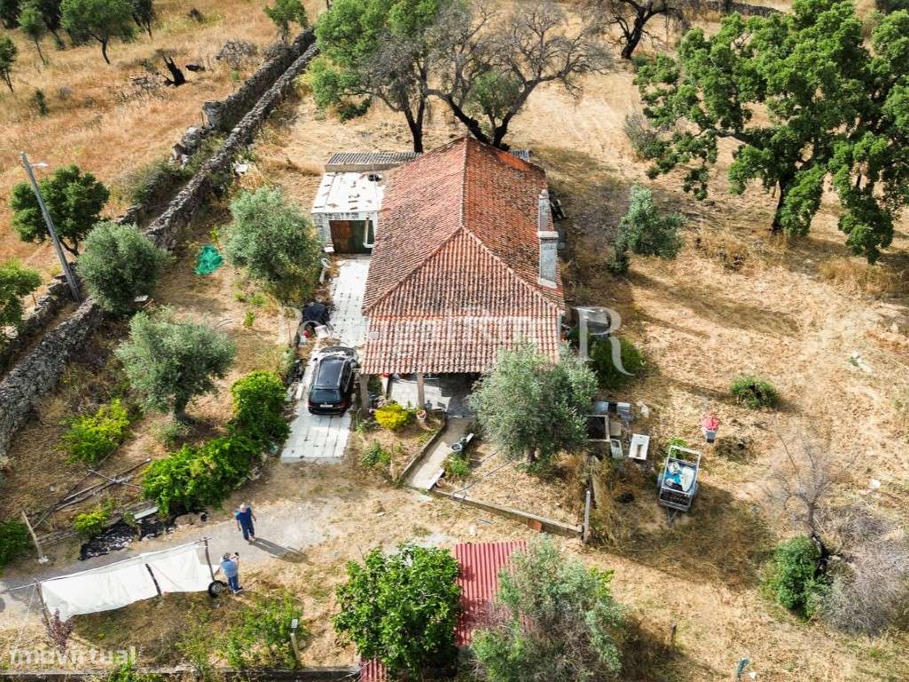 Quintinha de 1.8 hectares em Medelim-29