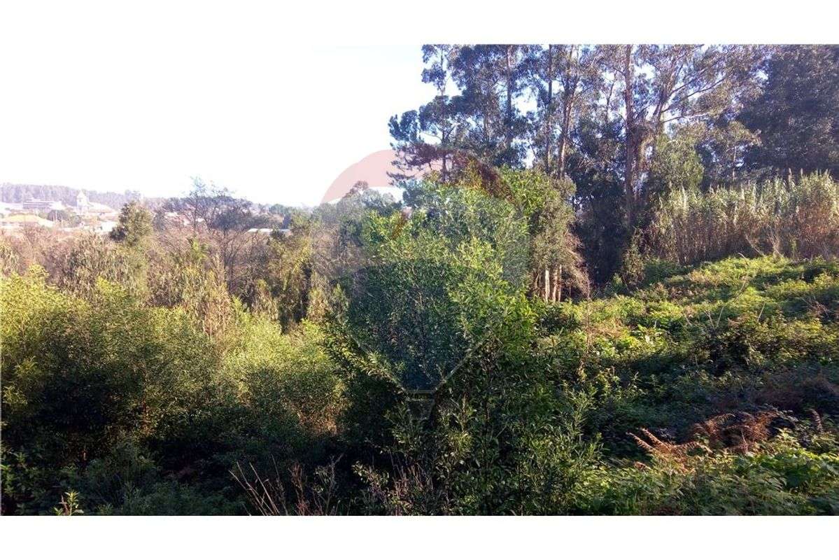 Terreno T0 para venda - Grande imagem: 5/7