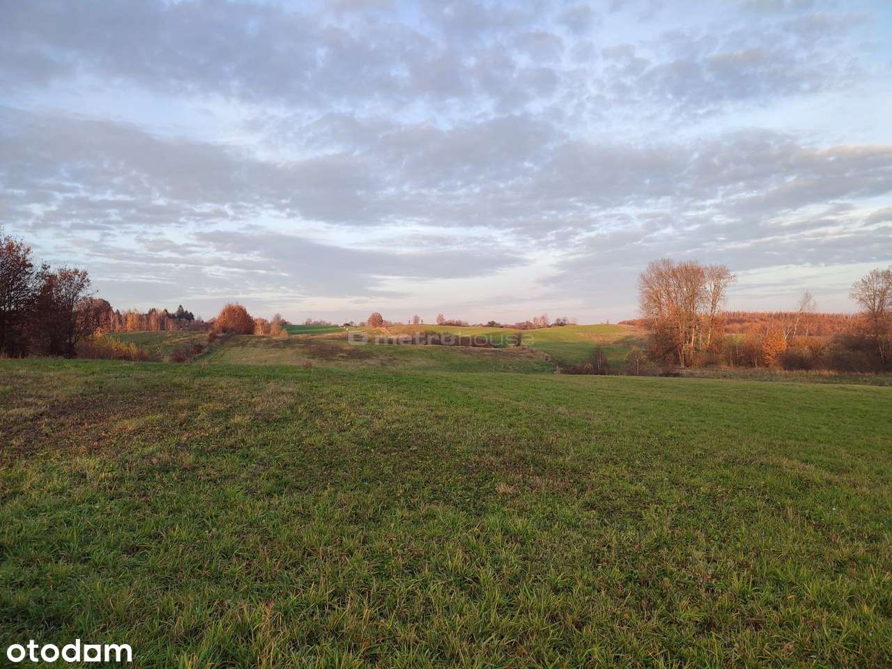 Działki rolne Mostkowo gmina Łukta - Pełny obrazek: 3/7