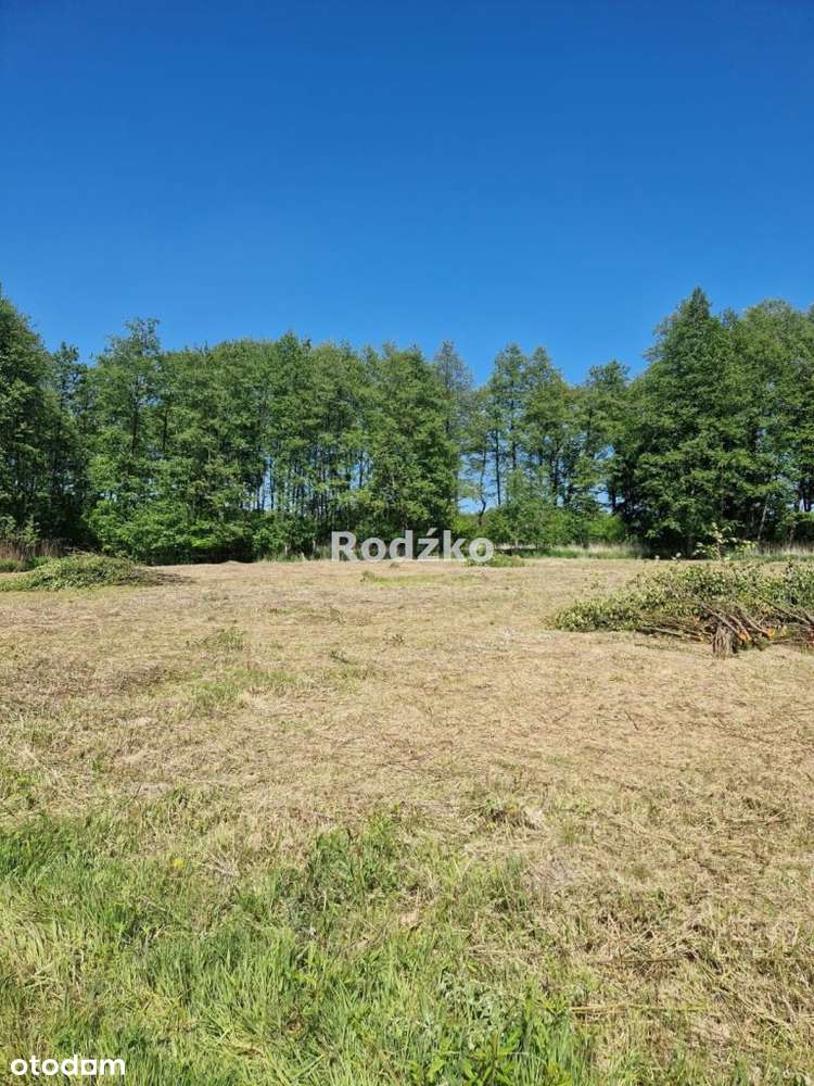 Działka, 3 144 m², Wałdowo Królewskie - Pełny obrazek: 4/13