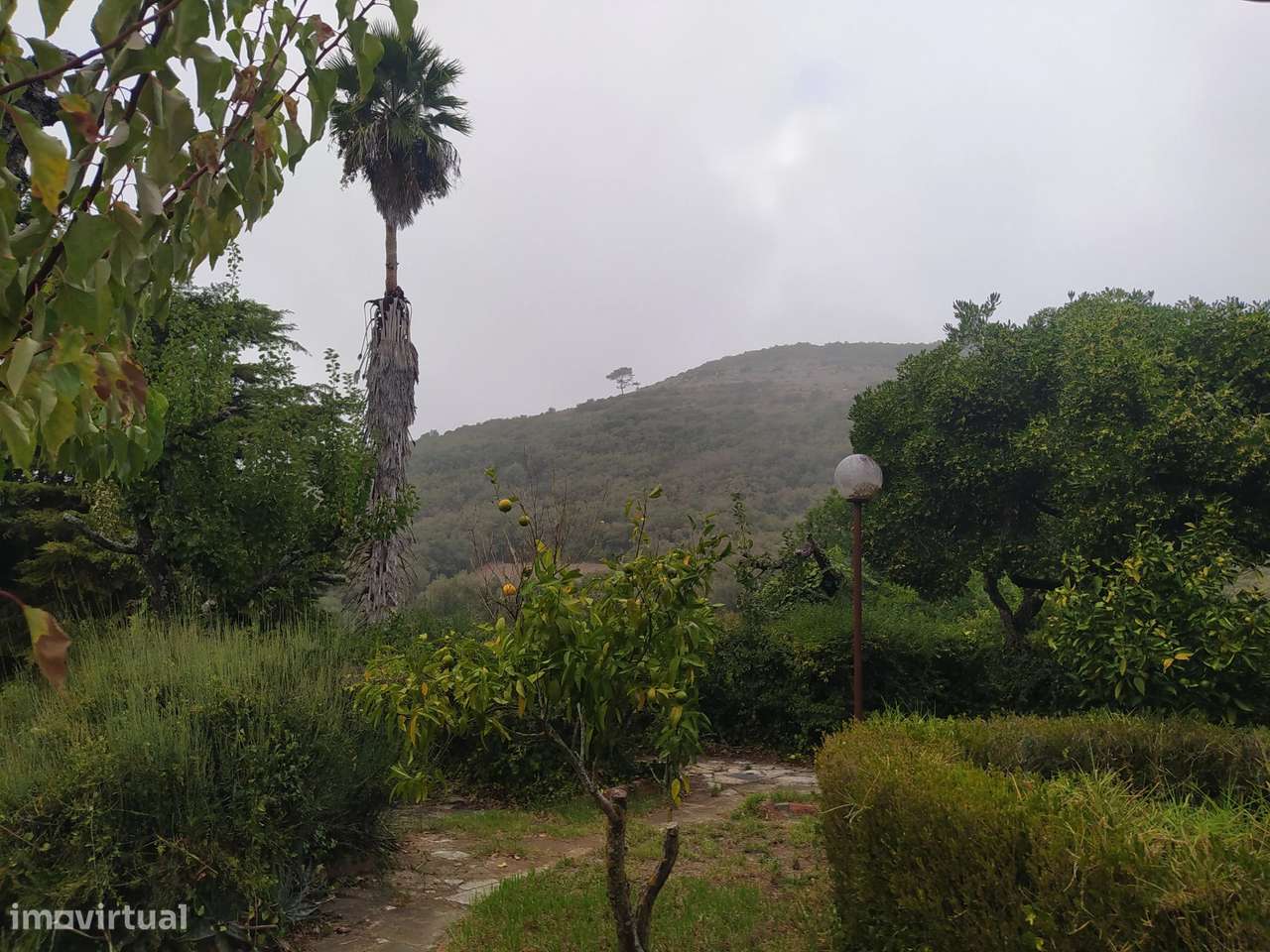 Quinta, Moradia T5 em Santo Estevão das Galés-Mafra-13
