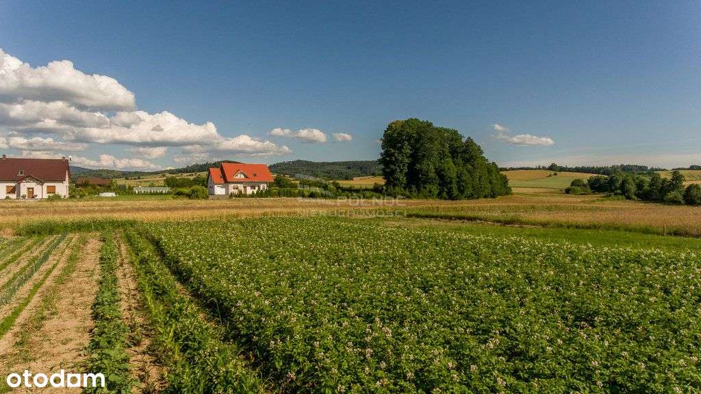 Działka budowlana 19 arów Kłodzko Jaszkowa Dolna - Pełny obrazek: 5/5
