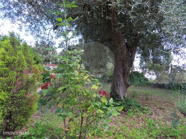 Quinta  para venda-4