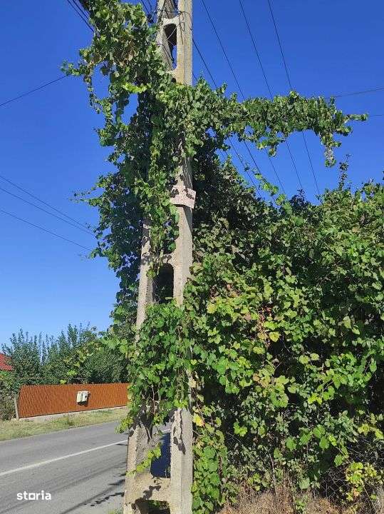 Vanzare Teren 2.001 mp. cu utilitati ~ Isaccea ~ Centru-3