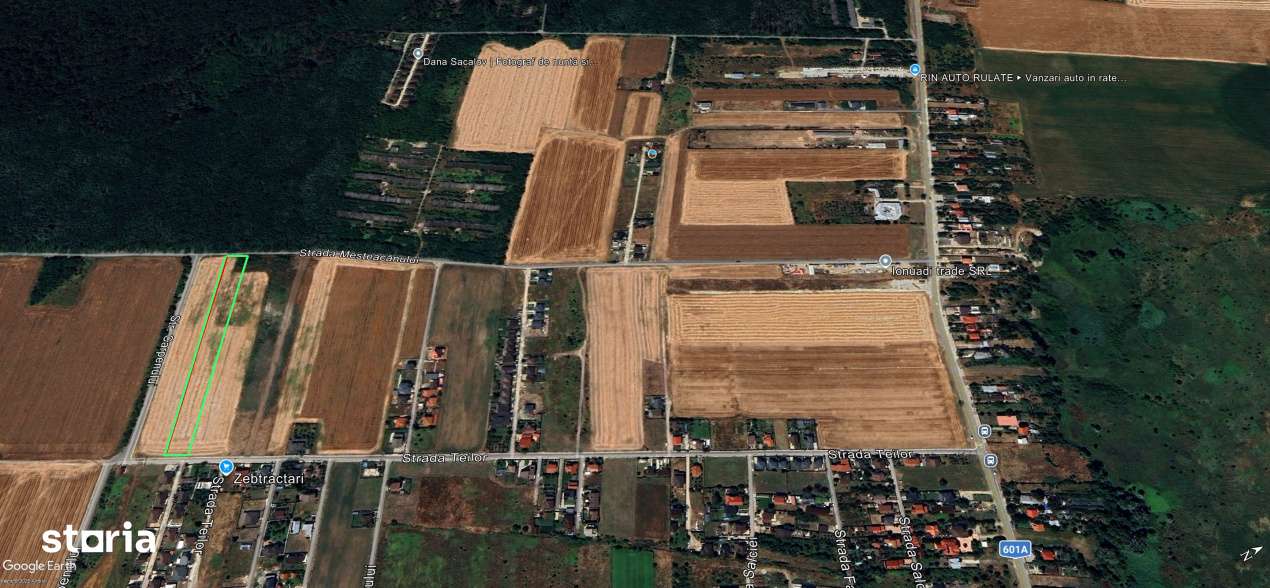 Dragomiresti Deal teren 6700 mp, padurea Ileana, utilitati, asfalt-5