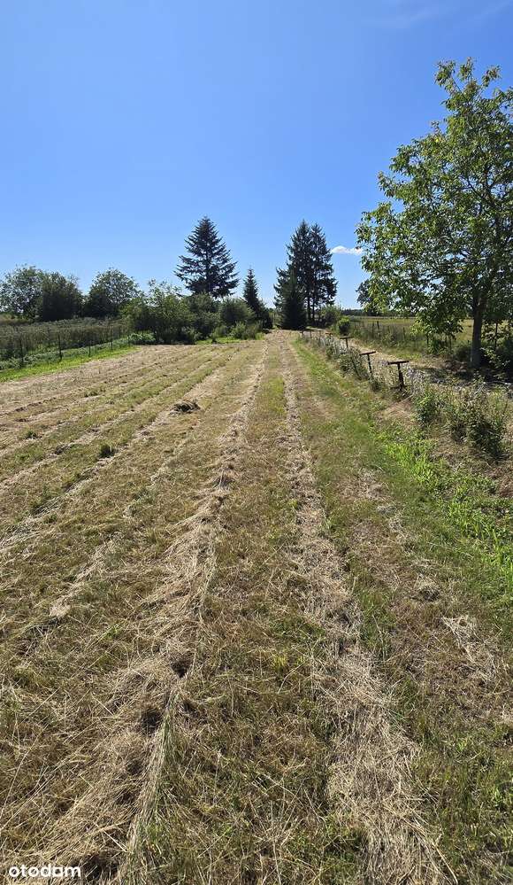 Działka budowlana na ul. Wojskowej-18