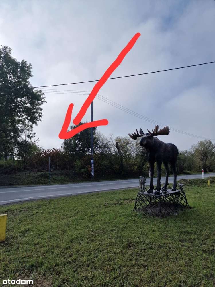 Działka usługowa 5100 m² – Doskonała lokalizacja-0