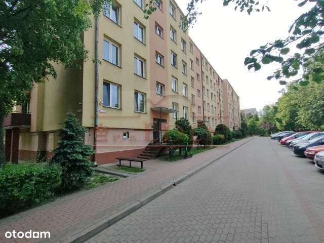 Mieszkanie, 61,46 m², Łuków