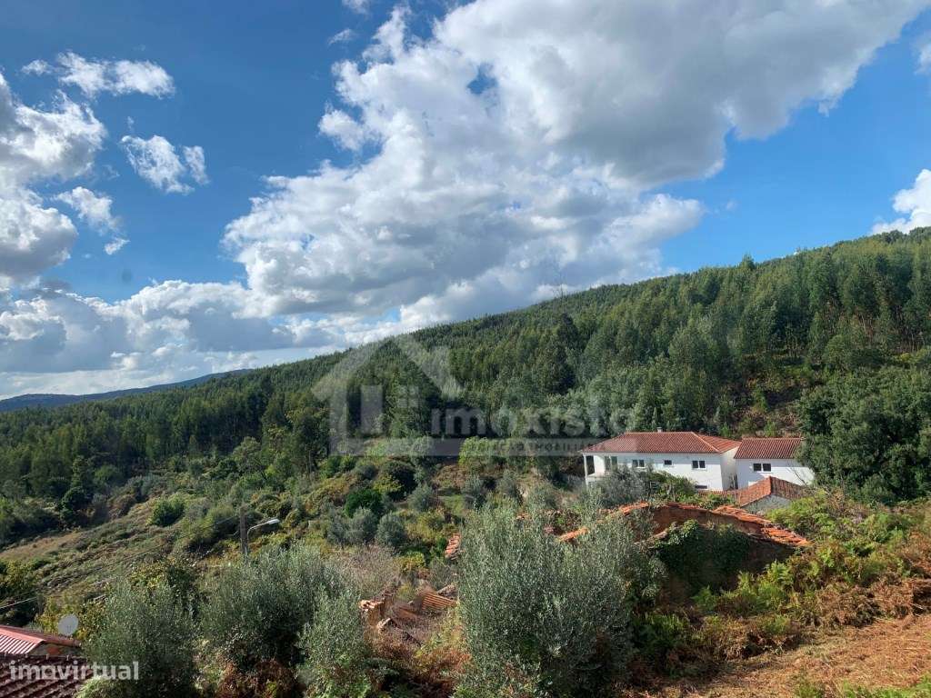 Moradias T4 e T0 em Figueiró dos Vinhos-36
