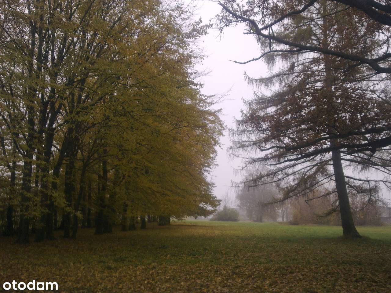 ZabytkowyParkPodworski -staw,starodrzew -gm.Somianka-55 km do Warszawy - Pełny obrazek: 4/10