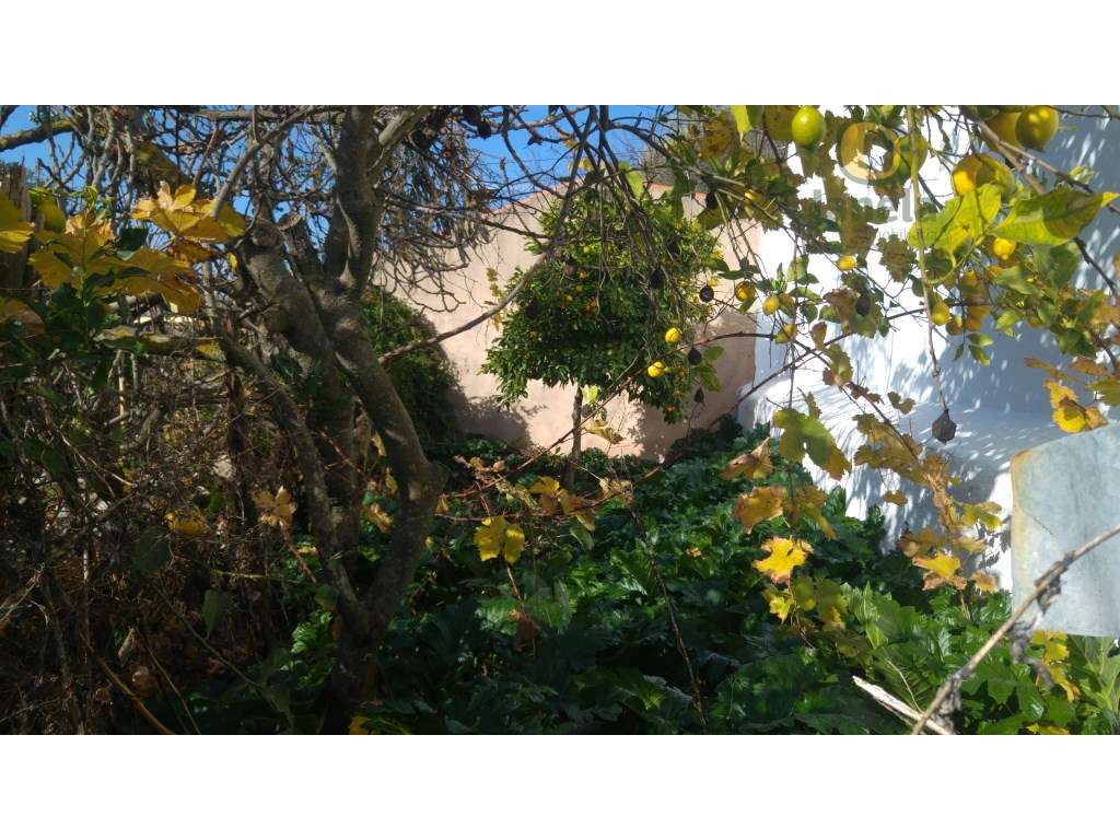 Casa Antiga perto de Alte - Grande imagem: 2/7