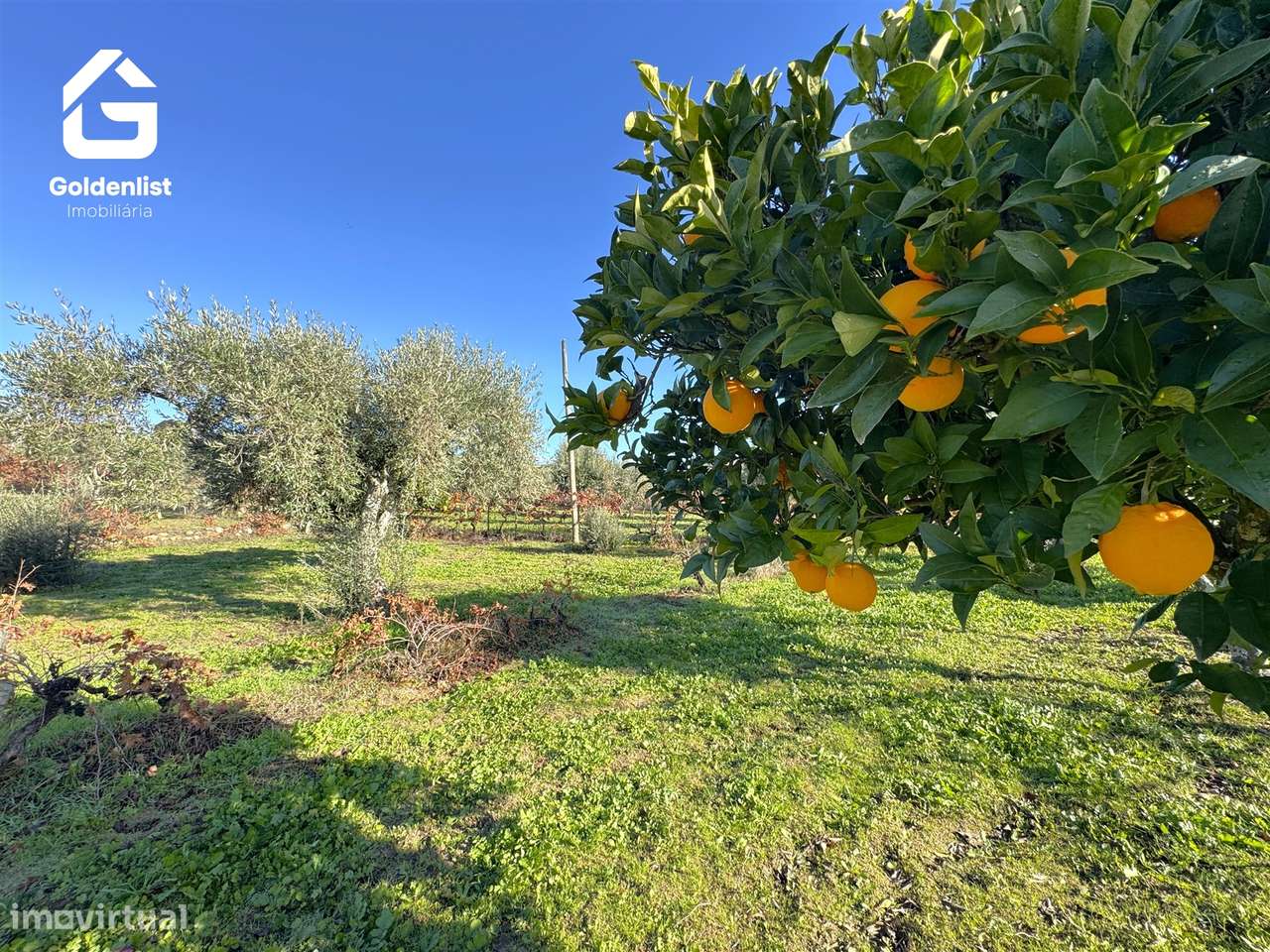 Quinta T3 Venda em Escalos de Cima e Lousa,Castelo Branco-41