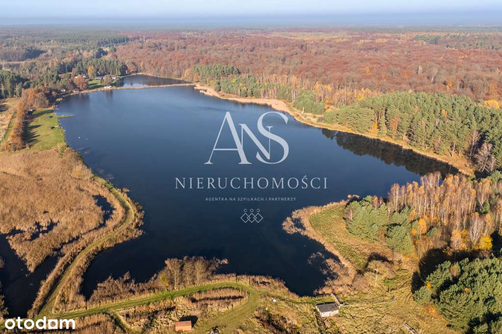 Nieruchomość rekreacyjno-usługowa ze stawami 24 ha - Pełny obrazek: 5/20