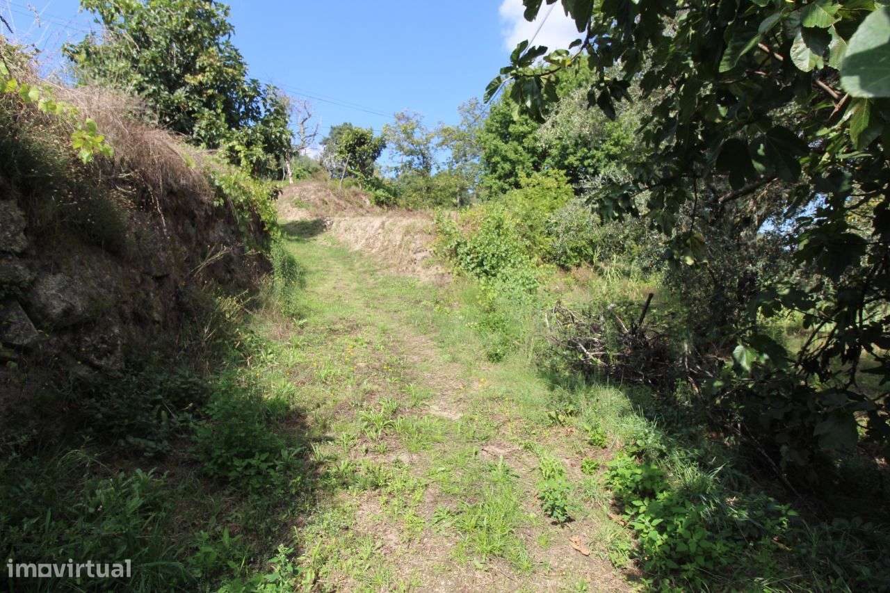 Terreno Urbano - Grande imagem: 4/5