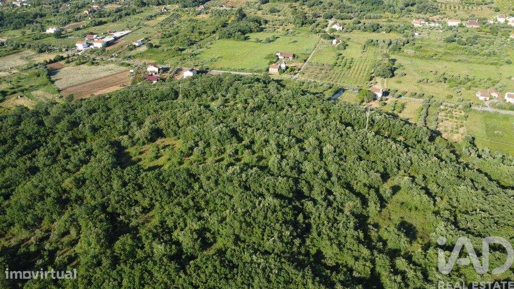 Terreno em Areias e Pias de 5960,00 m2 - Grande imagem: 5/29