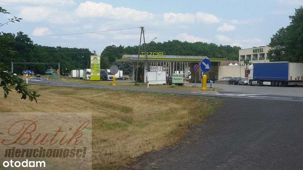 Trzciel Świdwowiec 5,4 h działka rolna ze studium-6