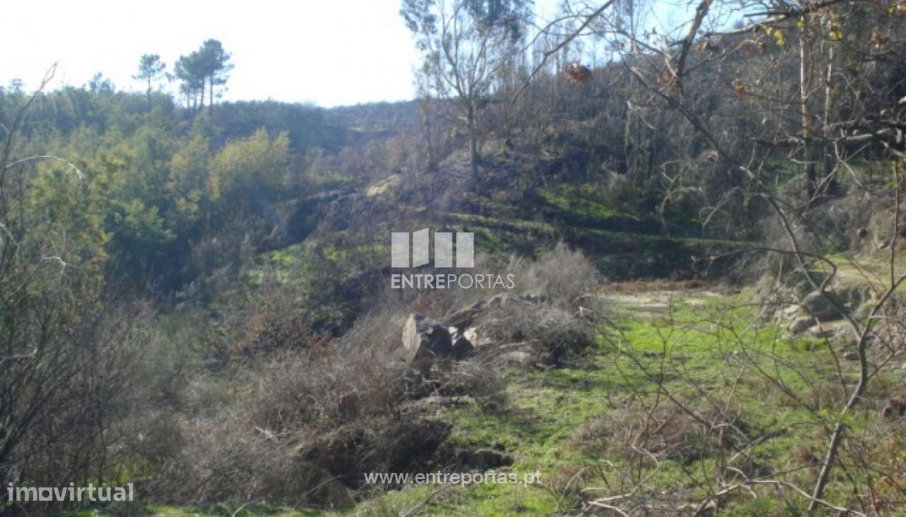 Venda Terreno, Grilo, Baião - Grande imagem: 2/7