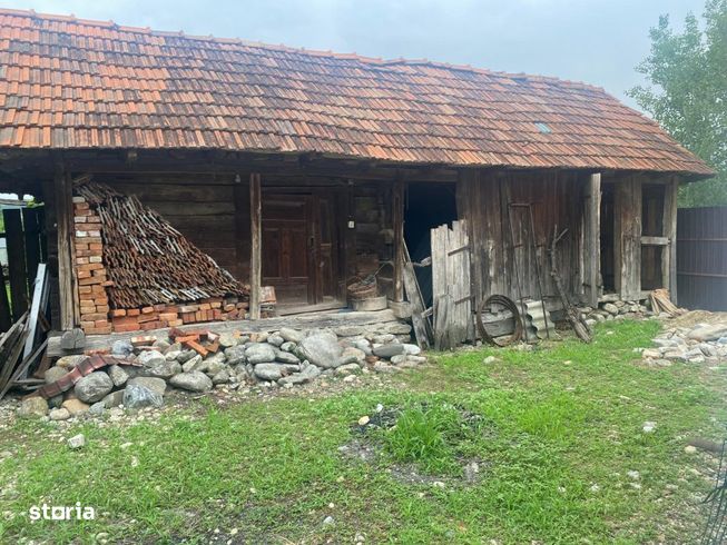 Casa traditionala renovata + anexe si gradina, Telesti, Gorj-10