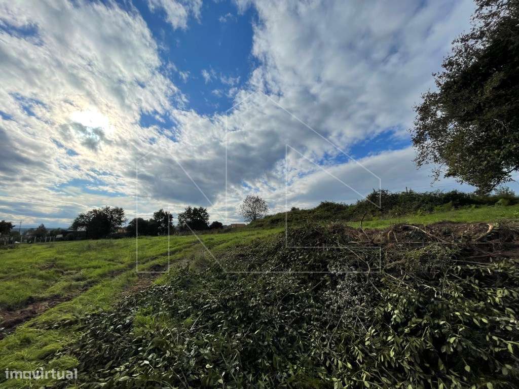 Terreno - Águeda - Grande imagem: 2/10