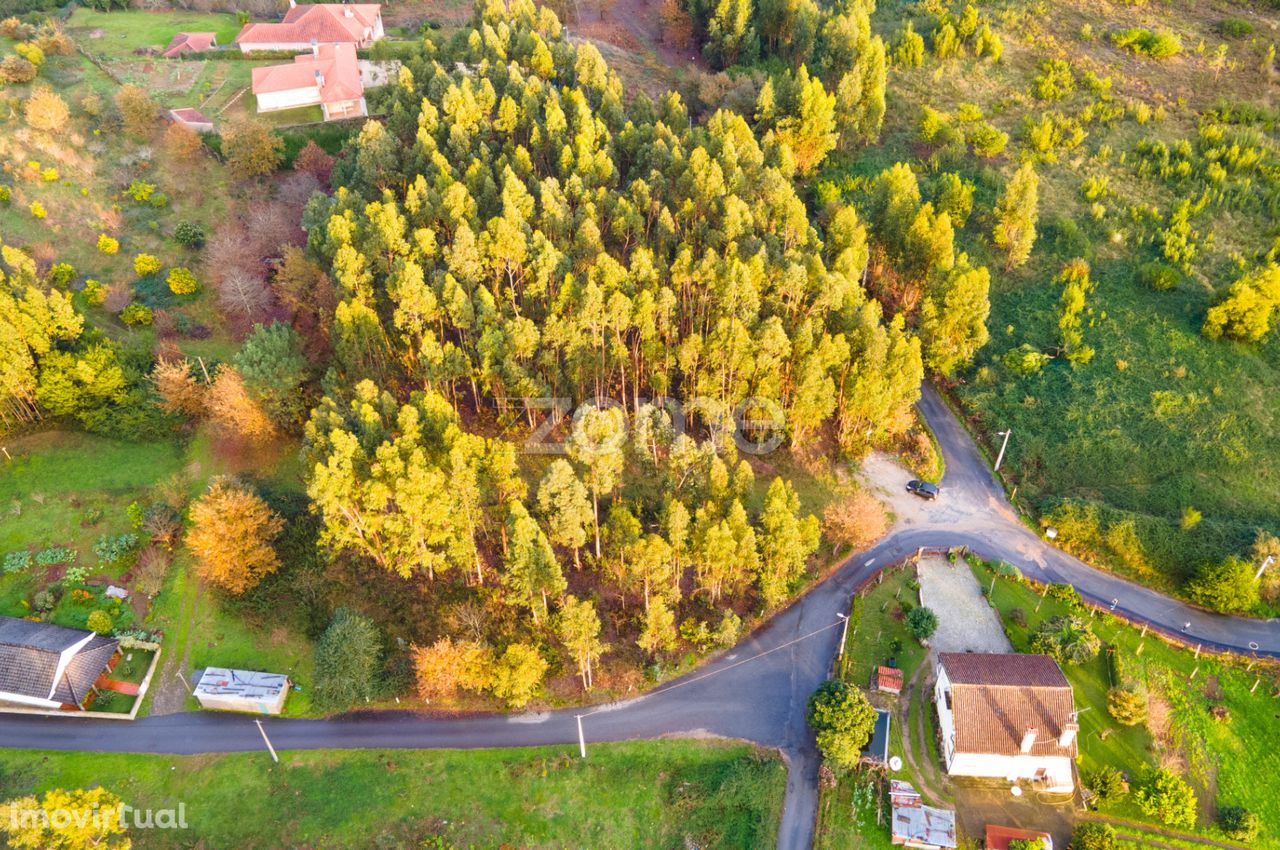 Terreno rústico, com 7500m2, em Brandara, Ponte de Lima.