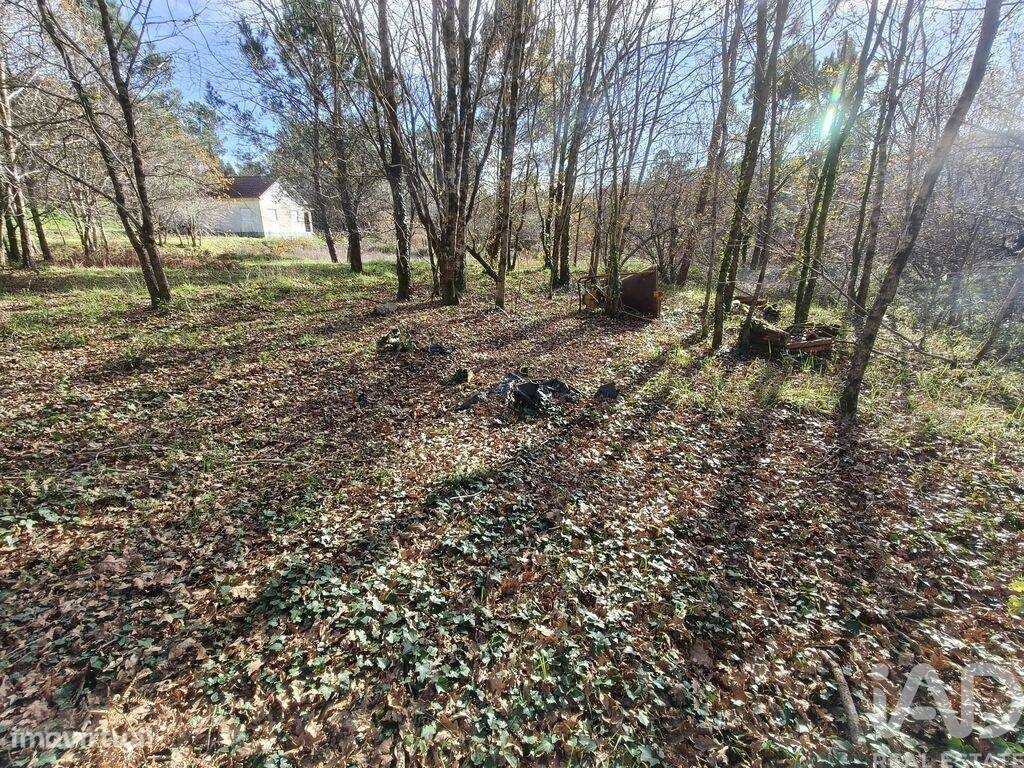 Terreno Agrícola em Covas - Grande imagem: 4/11