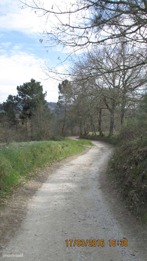 Terreno em Roriz , Penalva do Castelo com  14 ha - Grande imagem: 5/13