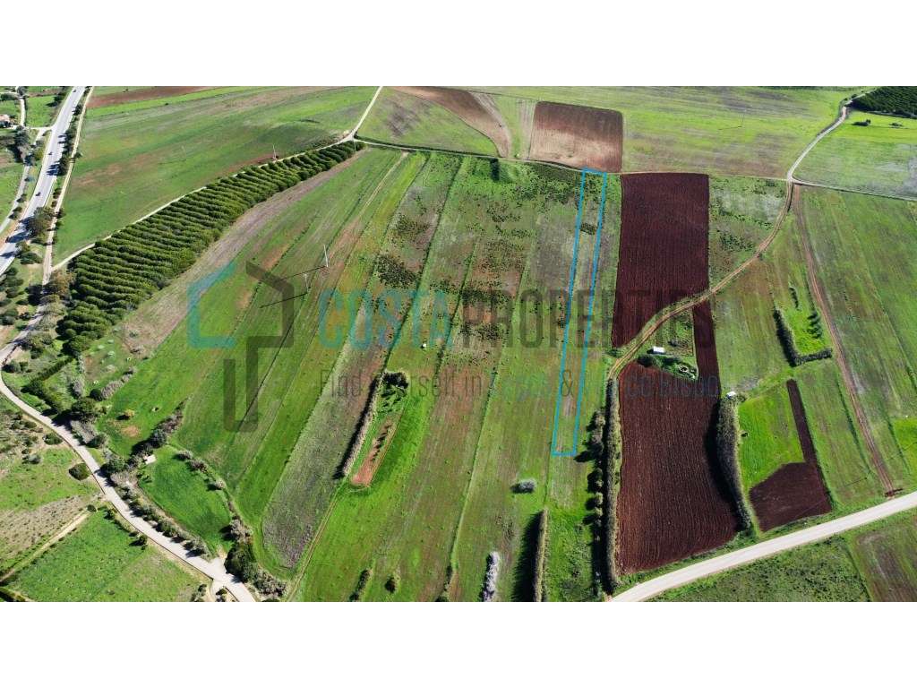 Terreno Rústico de 3.400m² com Potencial Agrícola na Raposeira - Grande imagem: 1/21