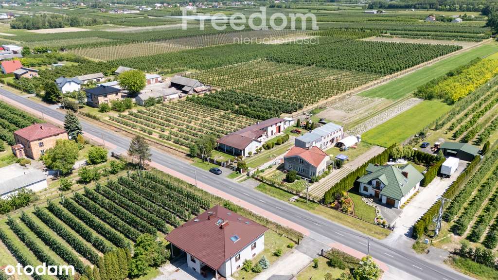 Dom z duża działka - Pełny obrazek: 5/19