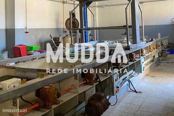 Espaçoso Pavilhão na Zona Industrial de São João da Madeira-15