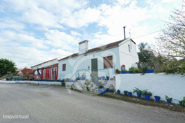 Propriedade com 6 habitações - Pintada - Montemor-o-Novo-20