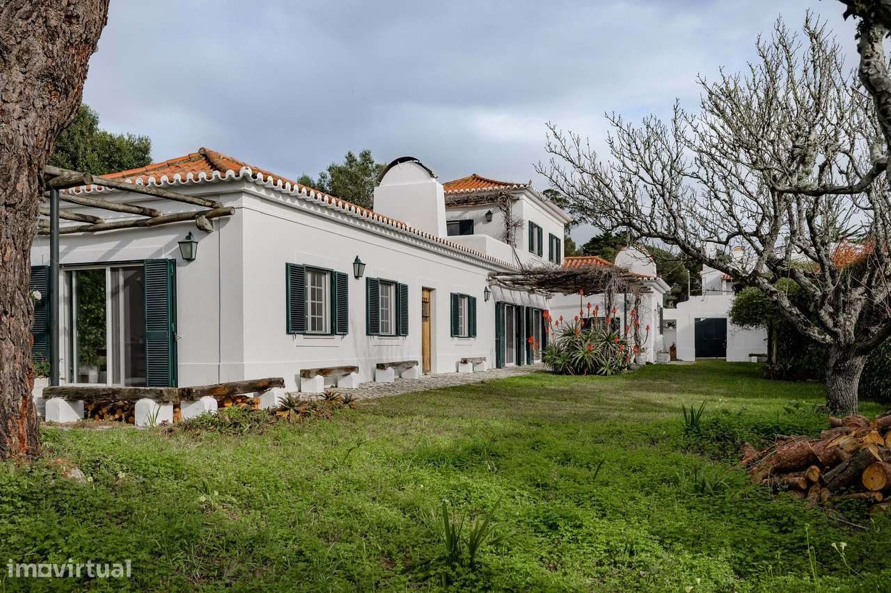 Moradia T3 no Morelinho - Grande imagem: 1/51