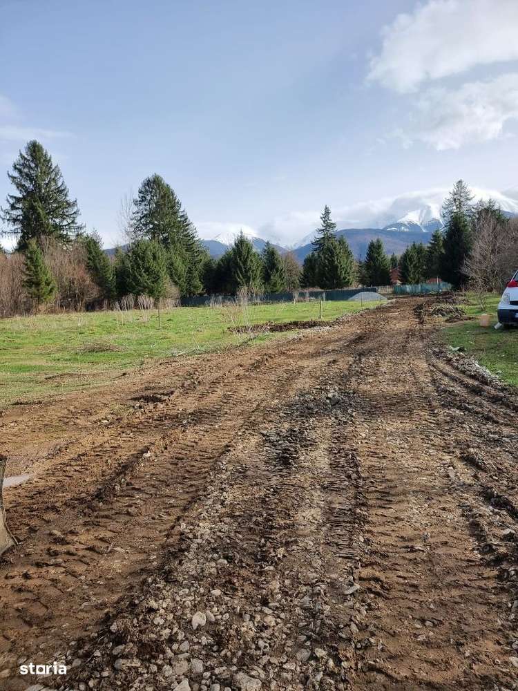 Proiect dezvoltare COMPLEX turistic Valea Avrigului - Imagine principală: 3/9