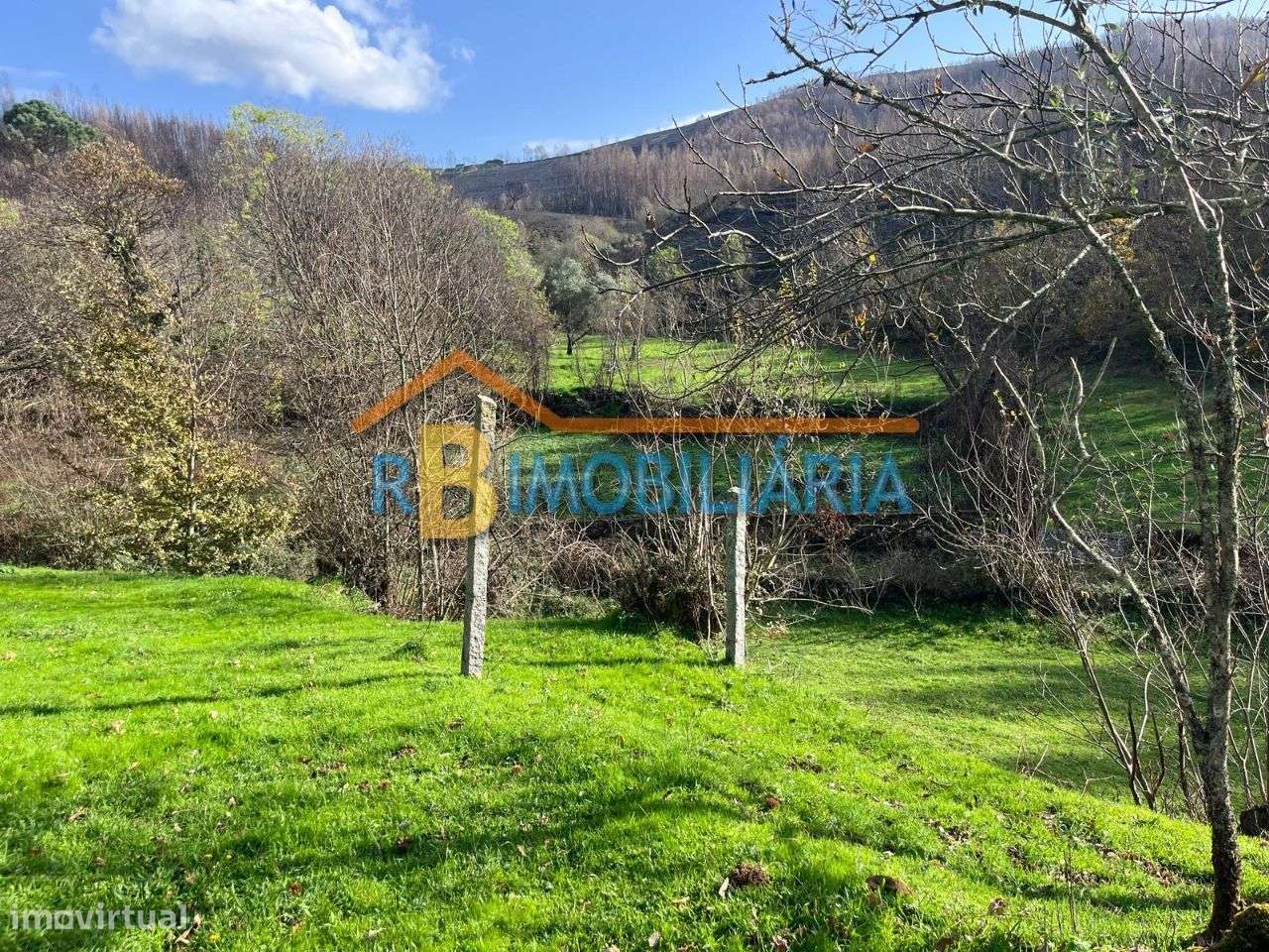 Quinta "Casa do Afonso" em Várzeas - Alvarenga - Grande imagem: 4/19