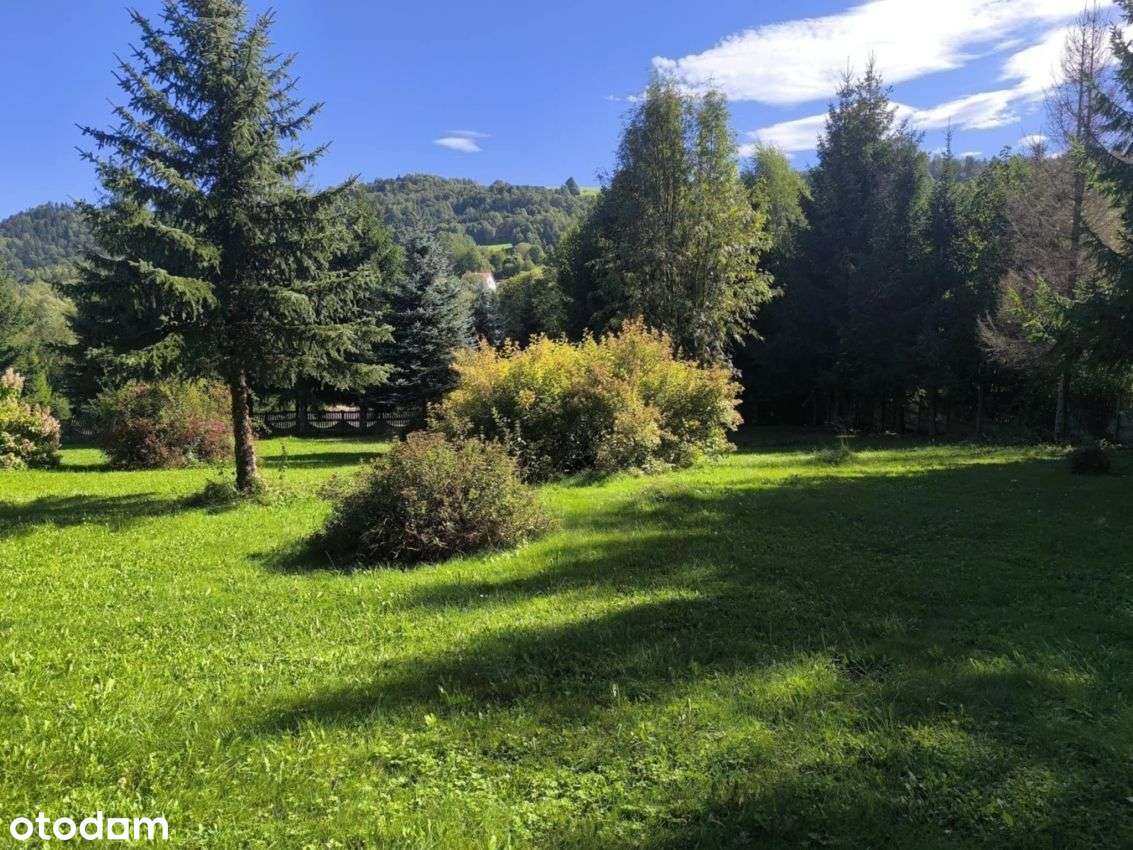 CaŁoroczny Dom W GÓrach--0% Prowizji-19