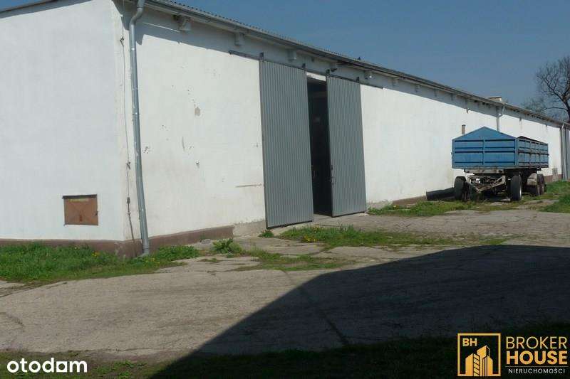 BUDYNKI MAGAZYNOWE - Pełny obrazek: 4/11