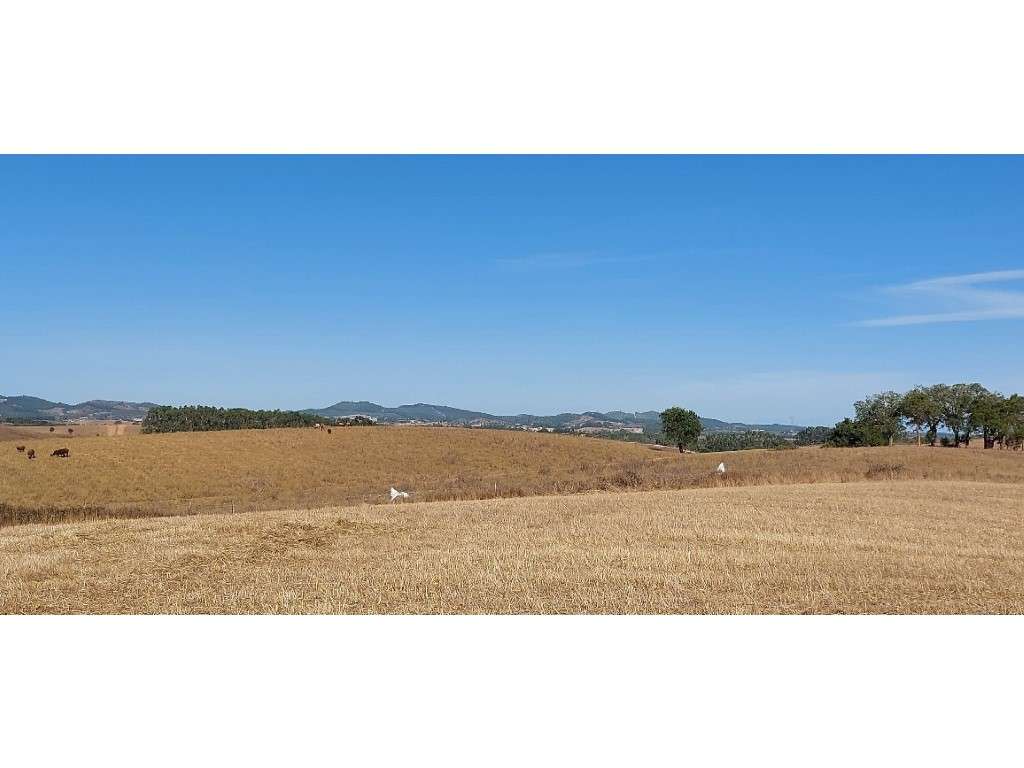 HERDADE (29 ha) - Grande imagem: 4/19