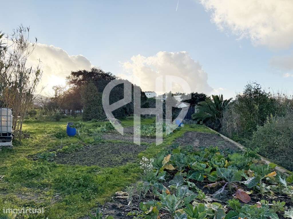 Moradia T3 + Área Terreno 4.150m2 + Atracadouro // P/Recuperar-48