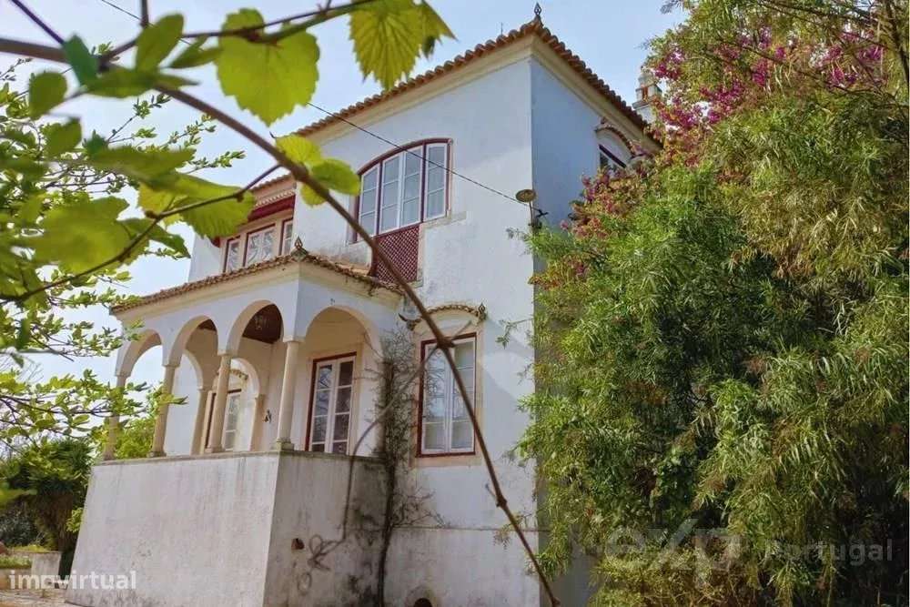 Quinta com Palacete Séc. XX - Grande imagem: 3/60